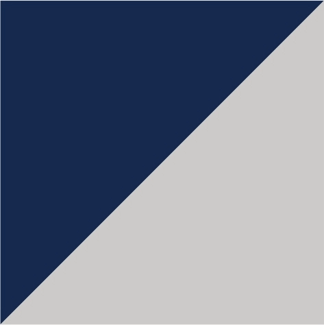 navy/silver