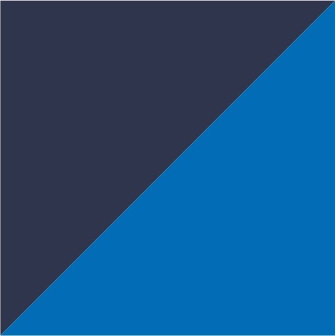 navy/cobalt