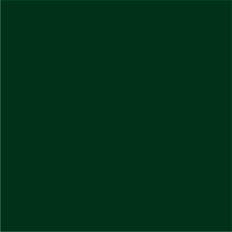 rainforest green