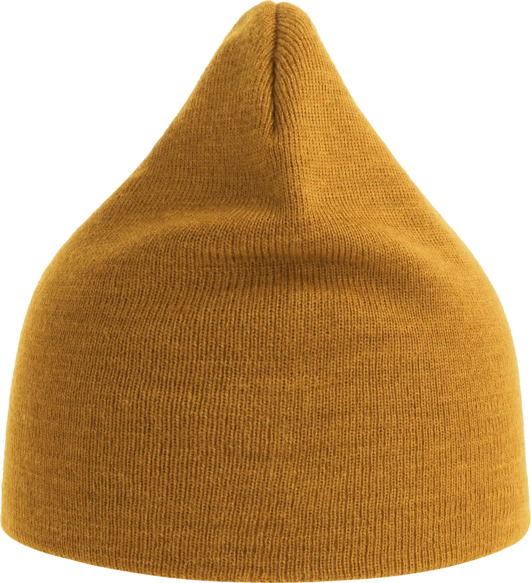 Atlantis Holly Beanie