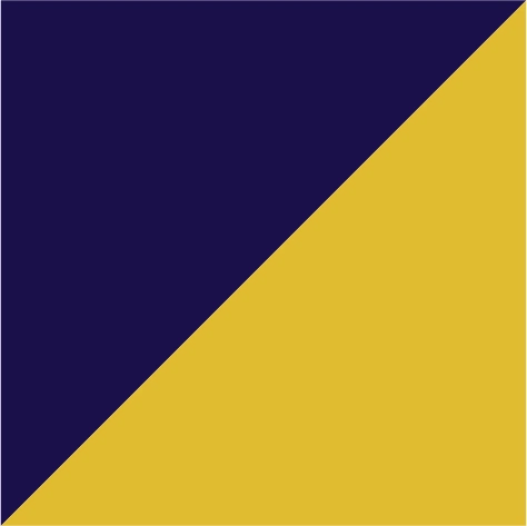 navy/gold yellow