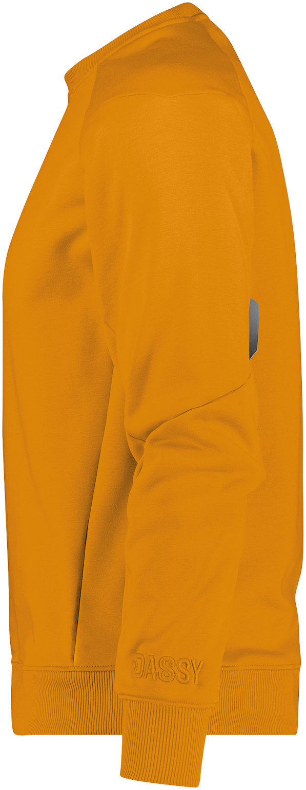 DASSY Sweatshirt DOLOMITI