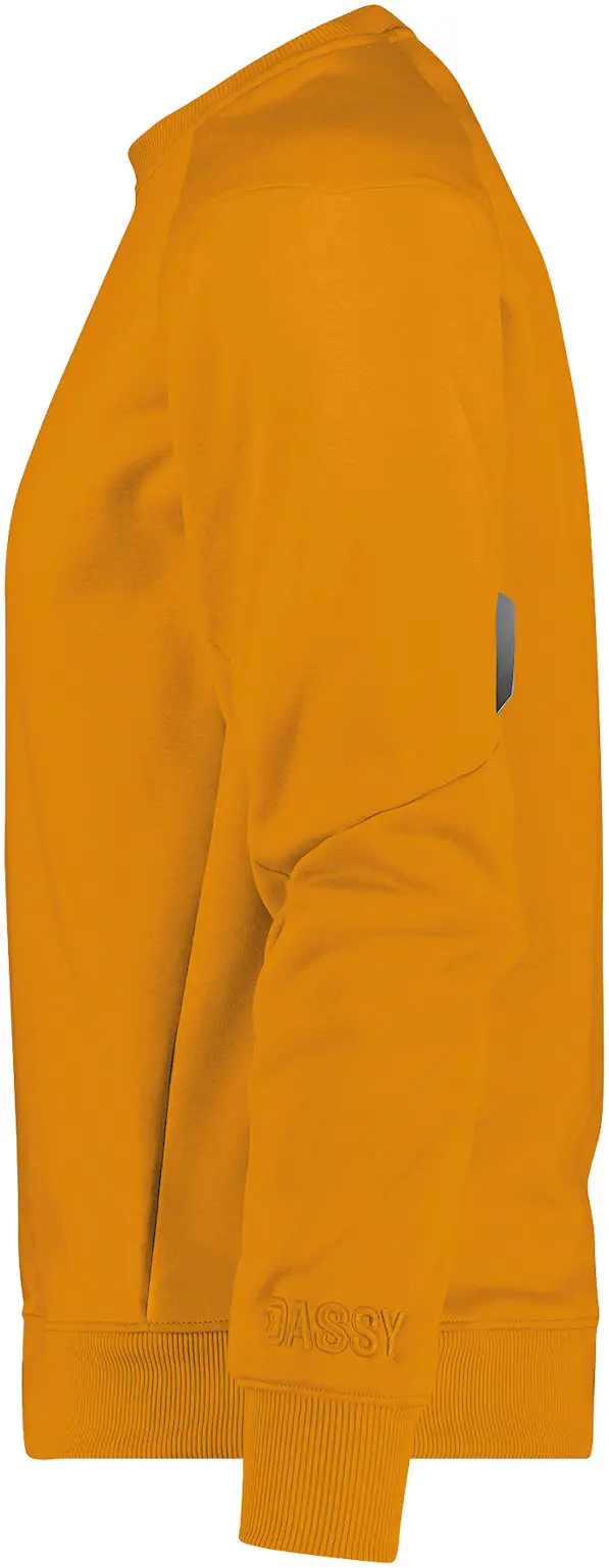 DASSY Sweatshirt DOLOMITI