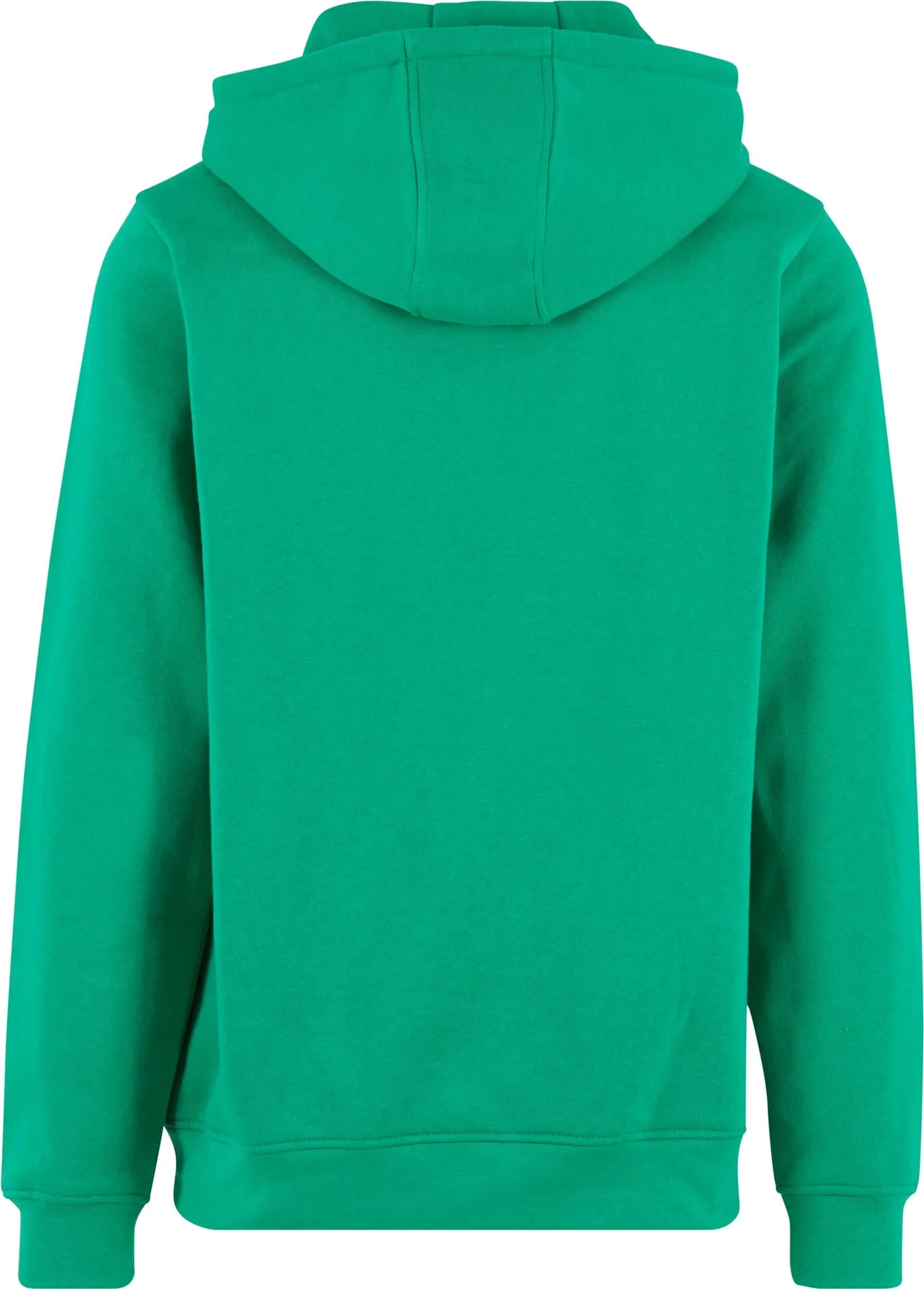 Build Your Brand Basic Hoody