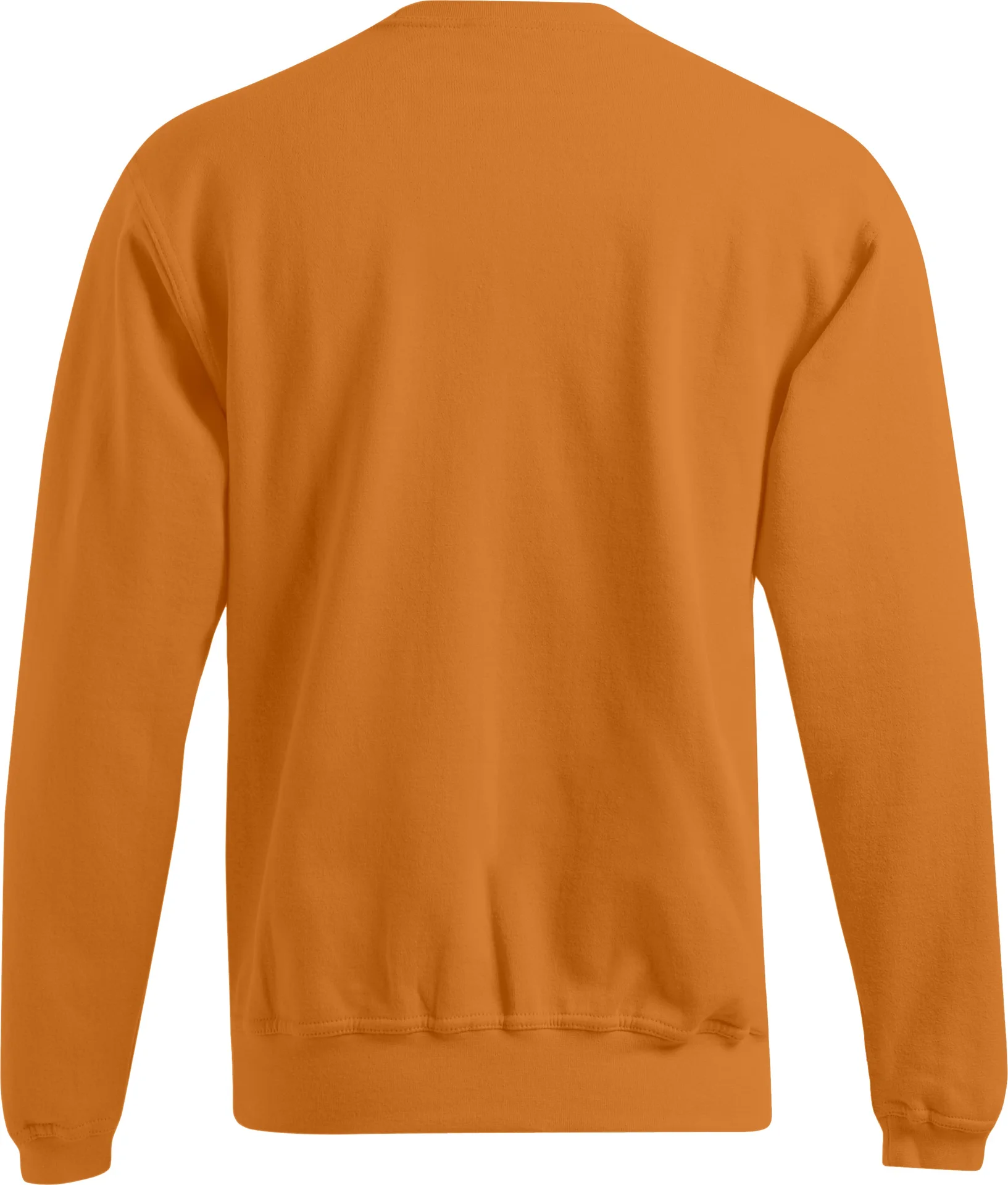 Promodoro Men's Sweater 80/20