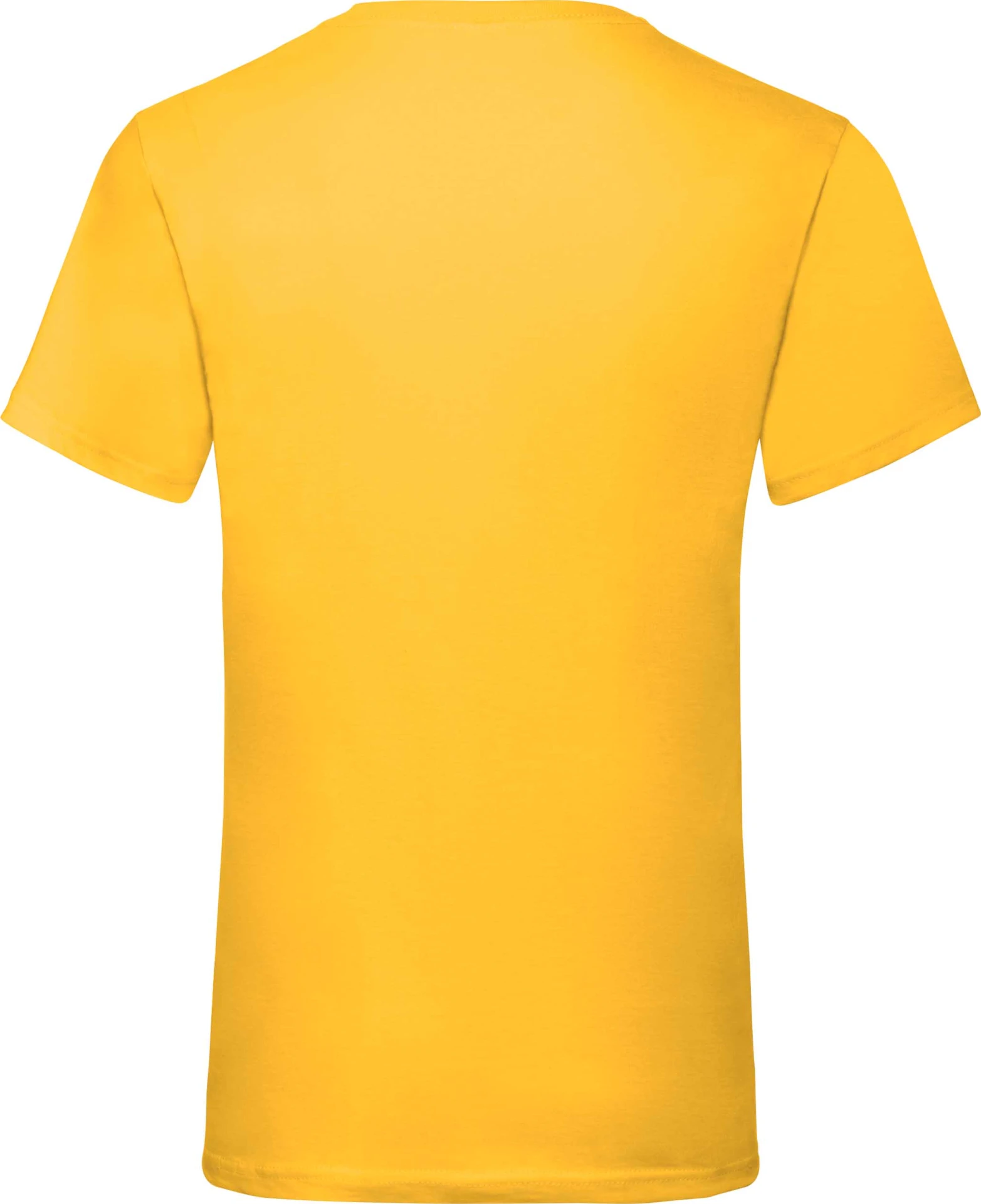 F.O.L. Valueweight V-Neck T