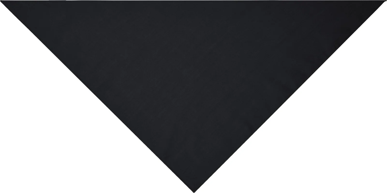 myrtle beach Triangular Scarf