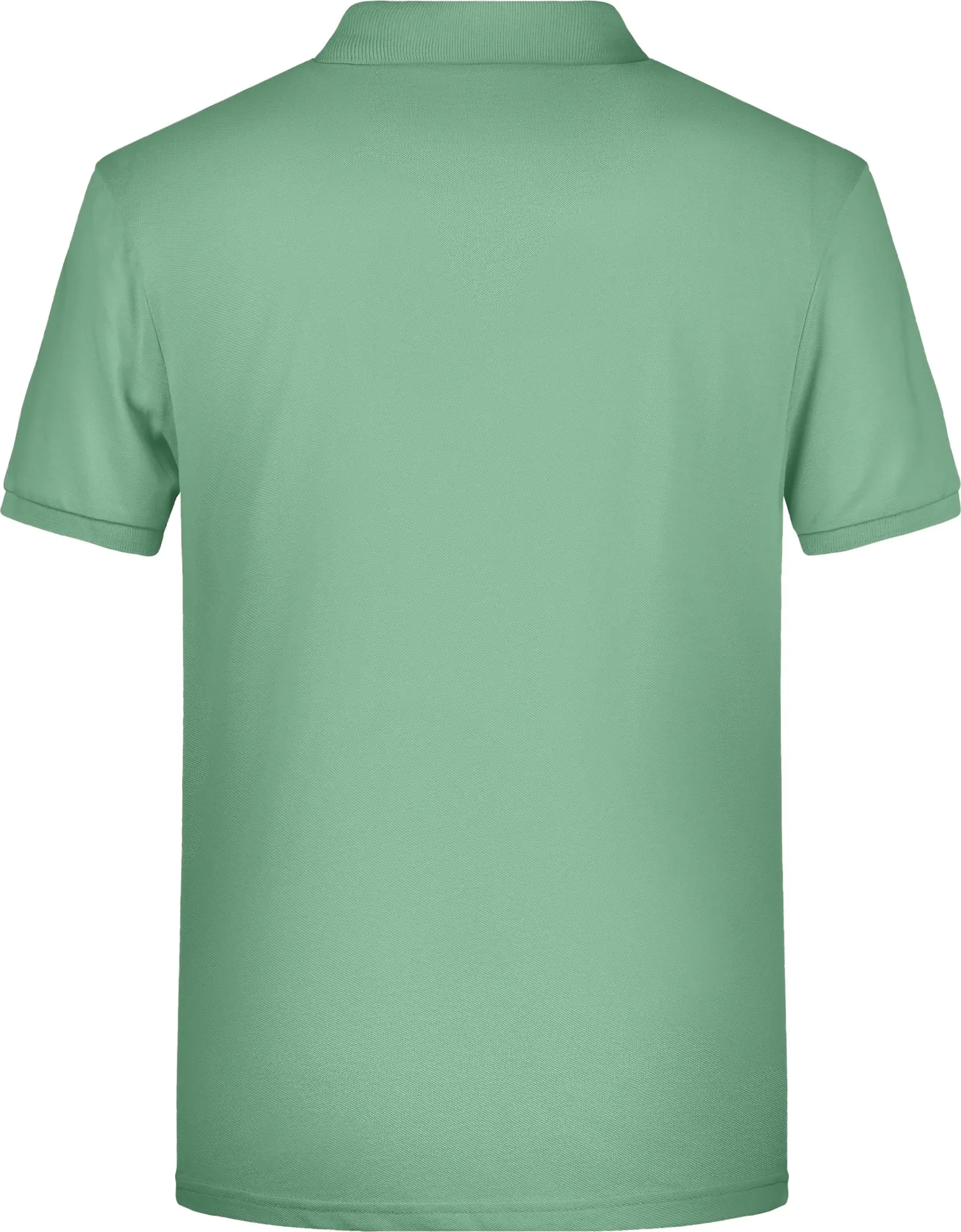 James & Nicholson Men's Basic Polo