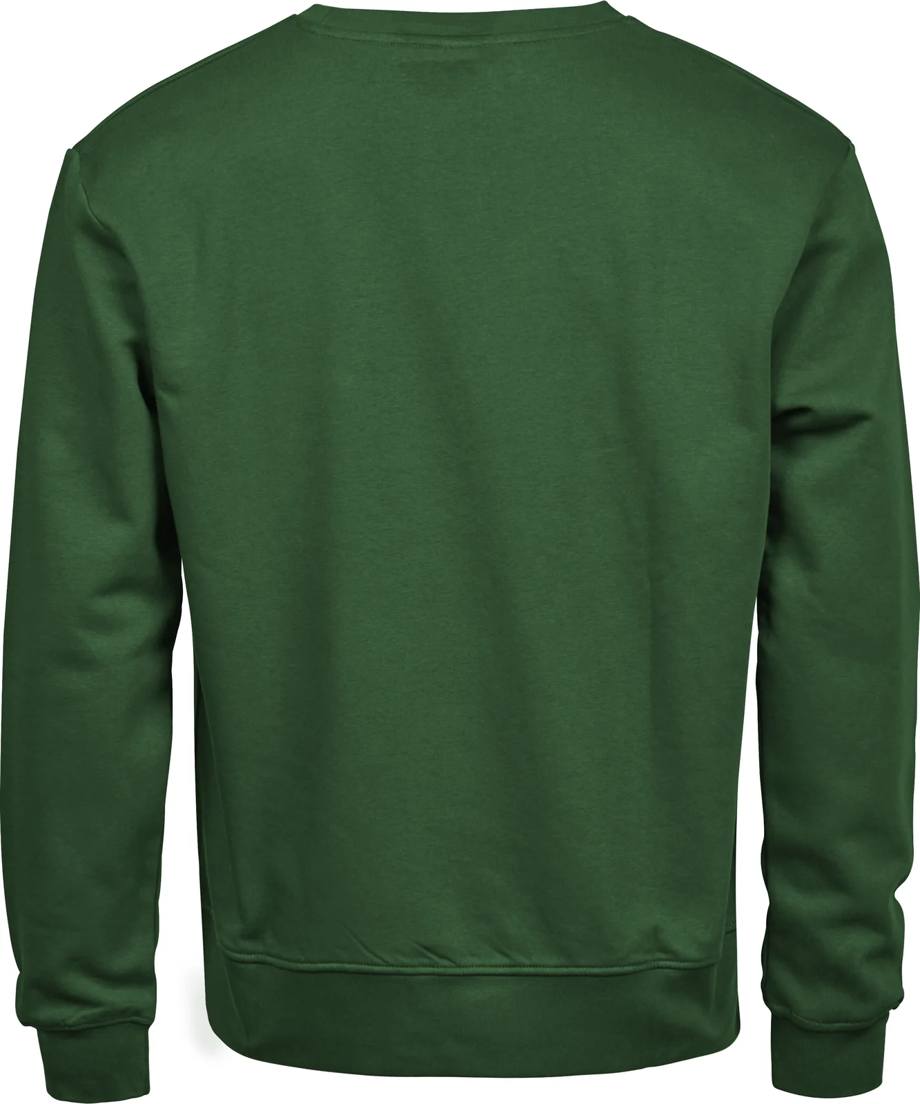 tee-jays-5100-power-sweatshirt-forestgreen-back-3 Tee Jays Power Sweatshirt