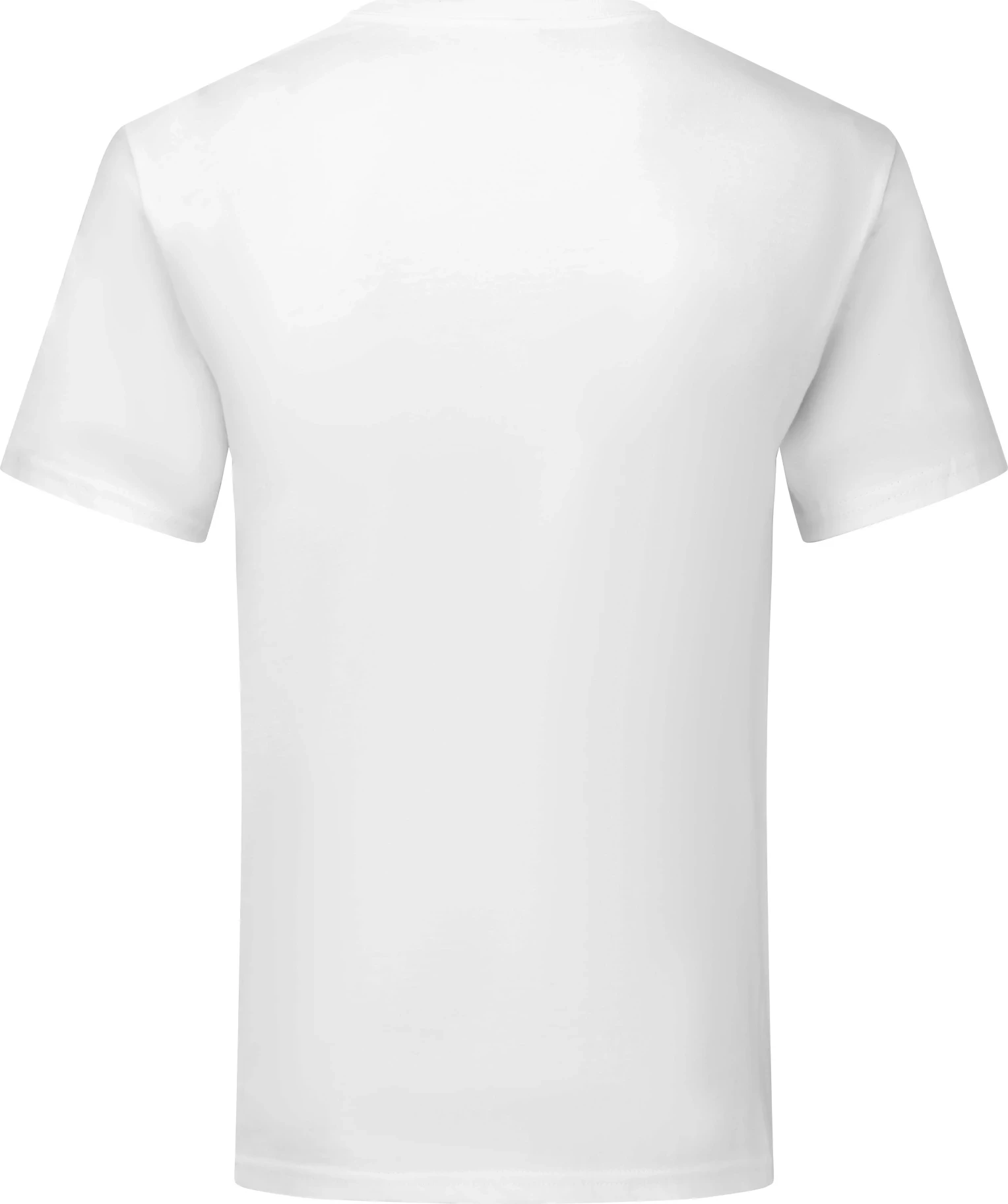 F.O.L. Iconic 150 V Neck T