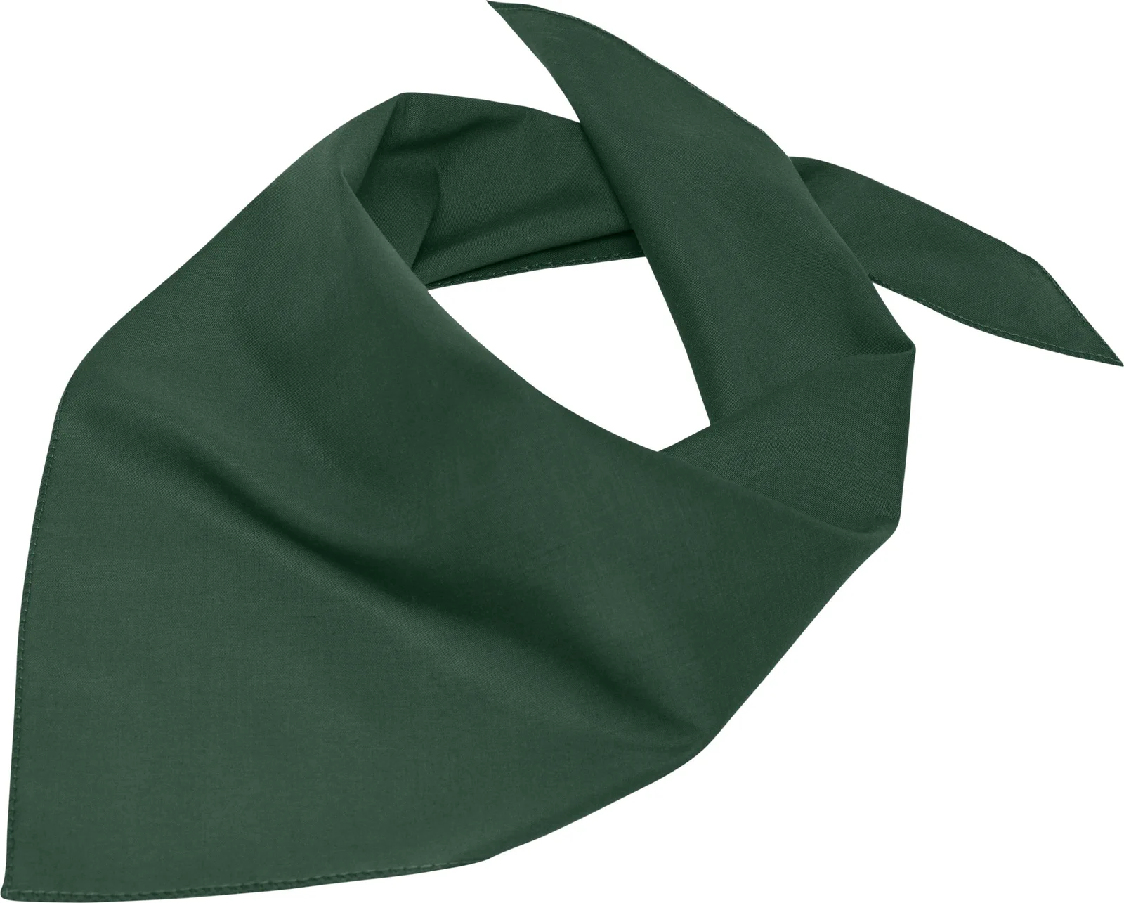 myrtle beach Triangular Scarf