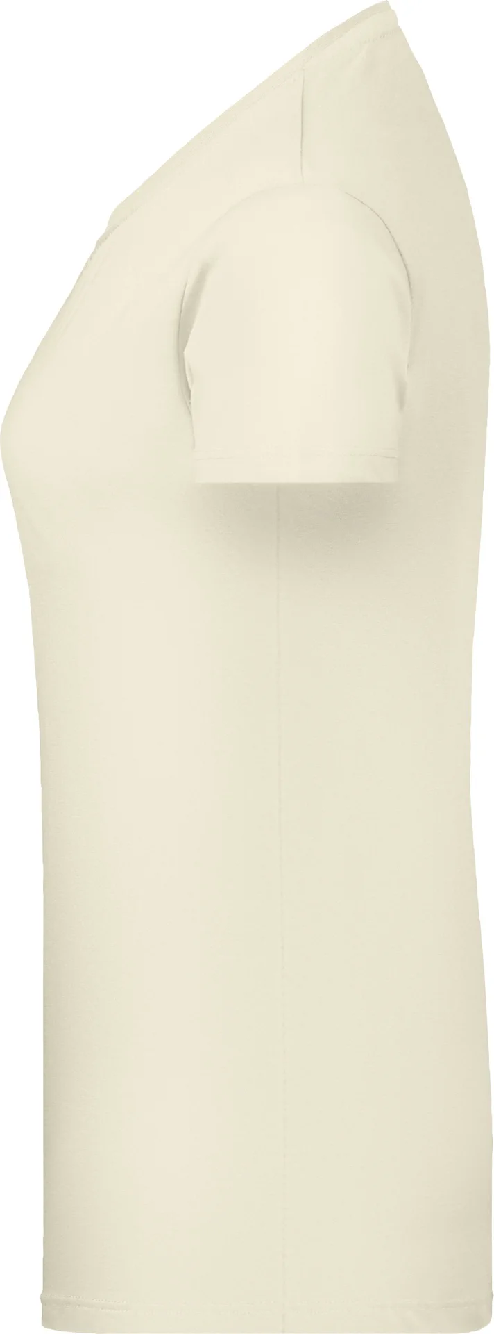 James & Nicholson Ladies Basic-T