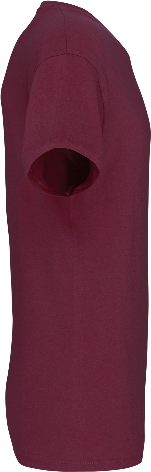 Kariban Herren Bio IC T-Shirt