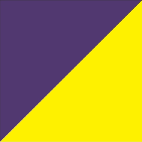 purple/yellow