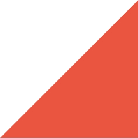 white/neon orange