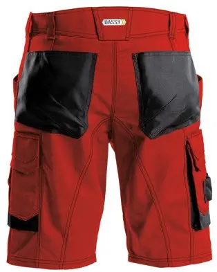 DASSY Arbeitsshorts COSMIC