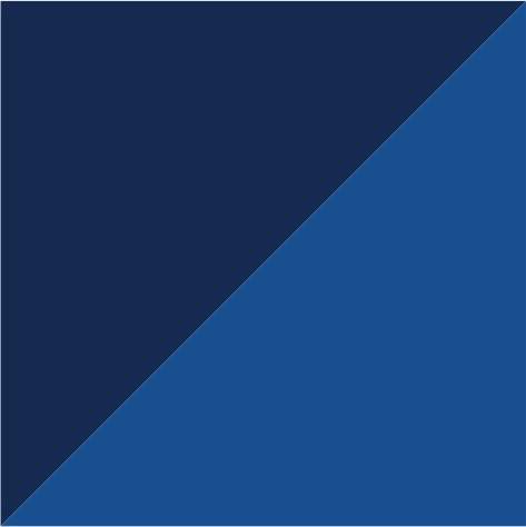 navy/royal