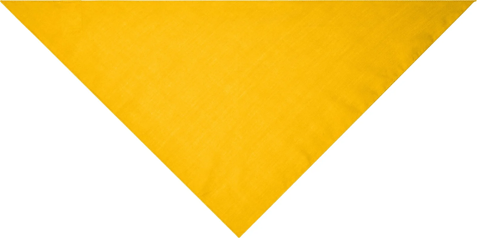 myrtle beach Triangular Scarf