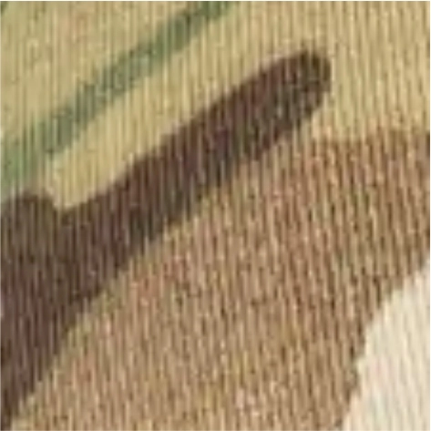multicam