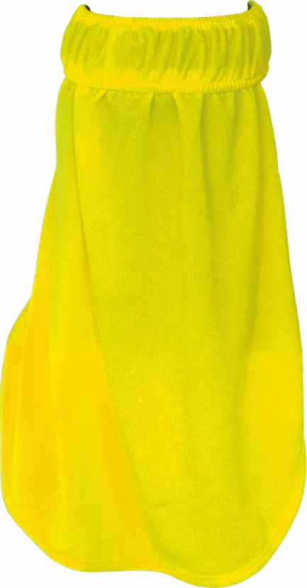 signal yellow