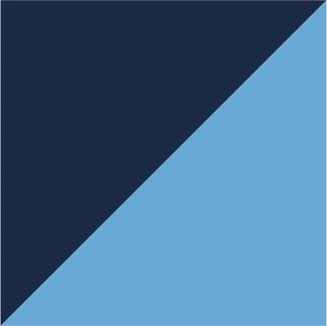 navy/french blue