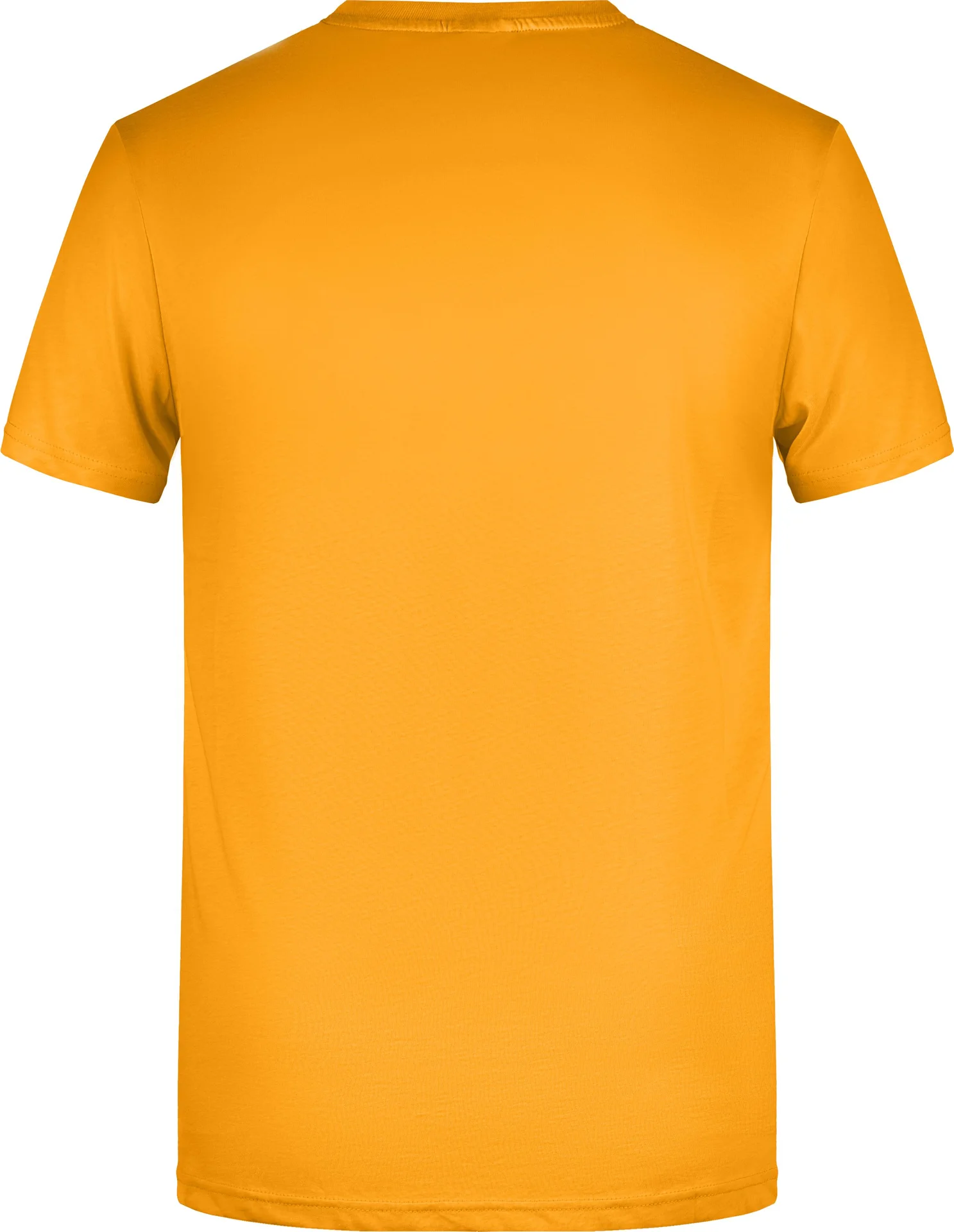 James & Nicholson Men`s Basic-T