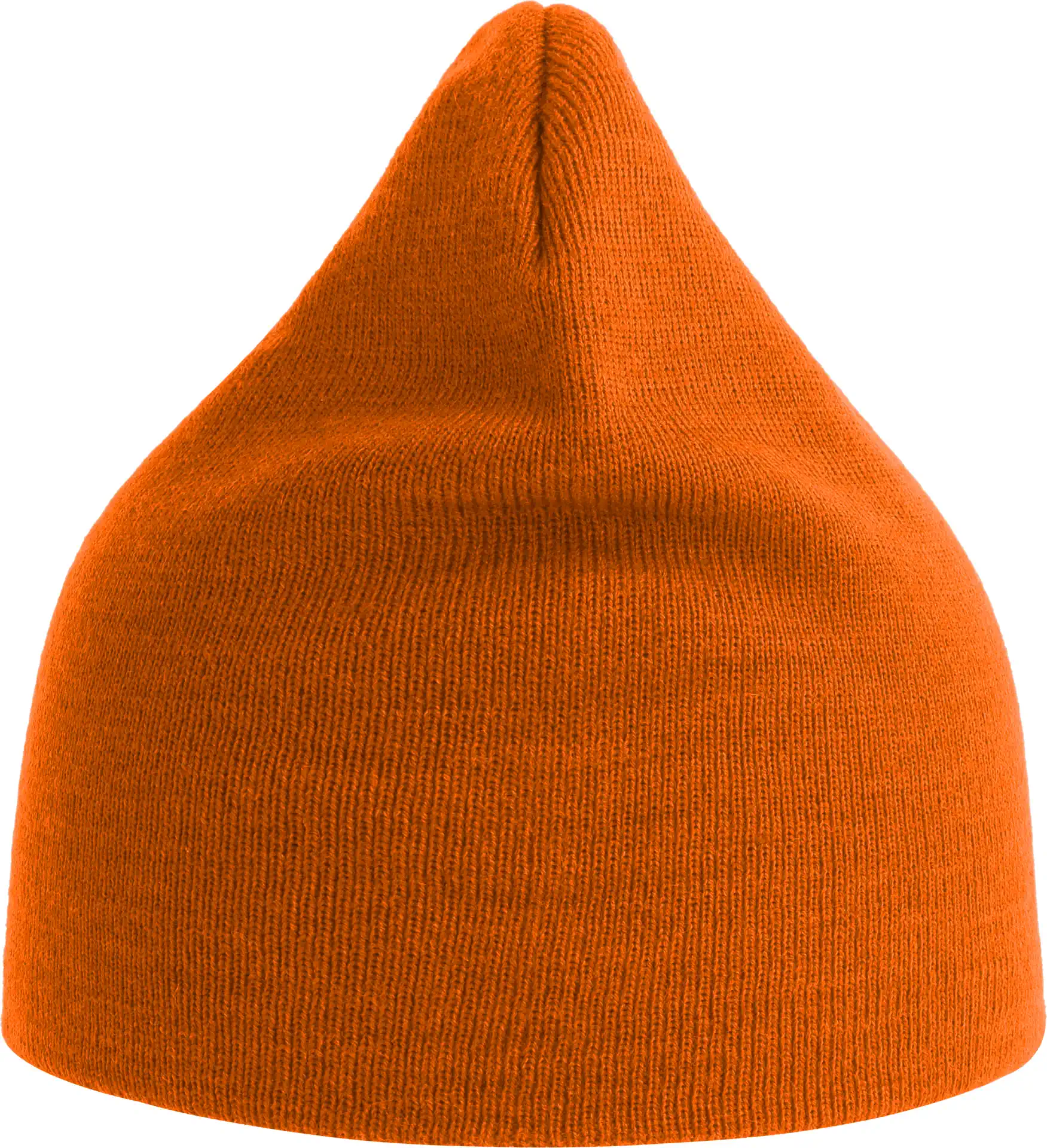 Atlantis Holly Beanie