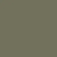 olive night