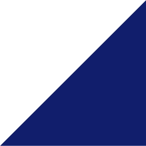 white/light grey/royal blue