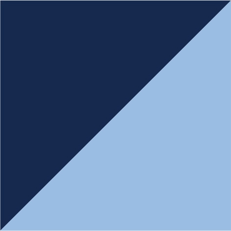 navy/sky