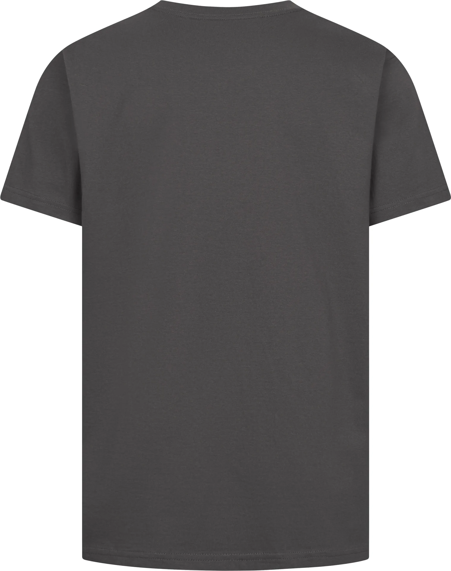 Promodoro Men's Premium V-Neck-T