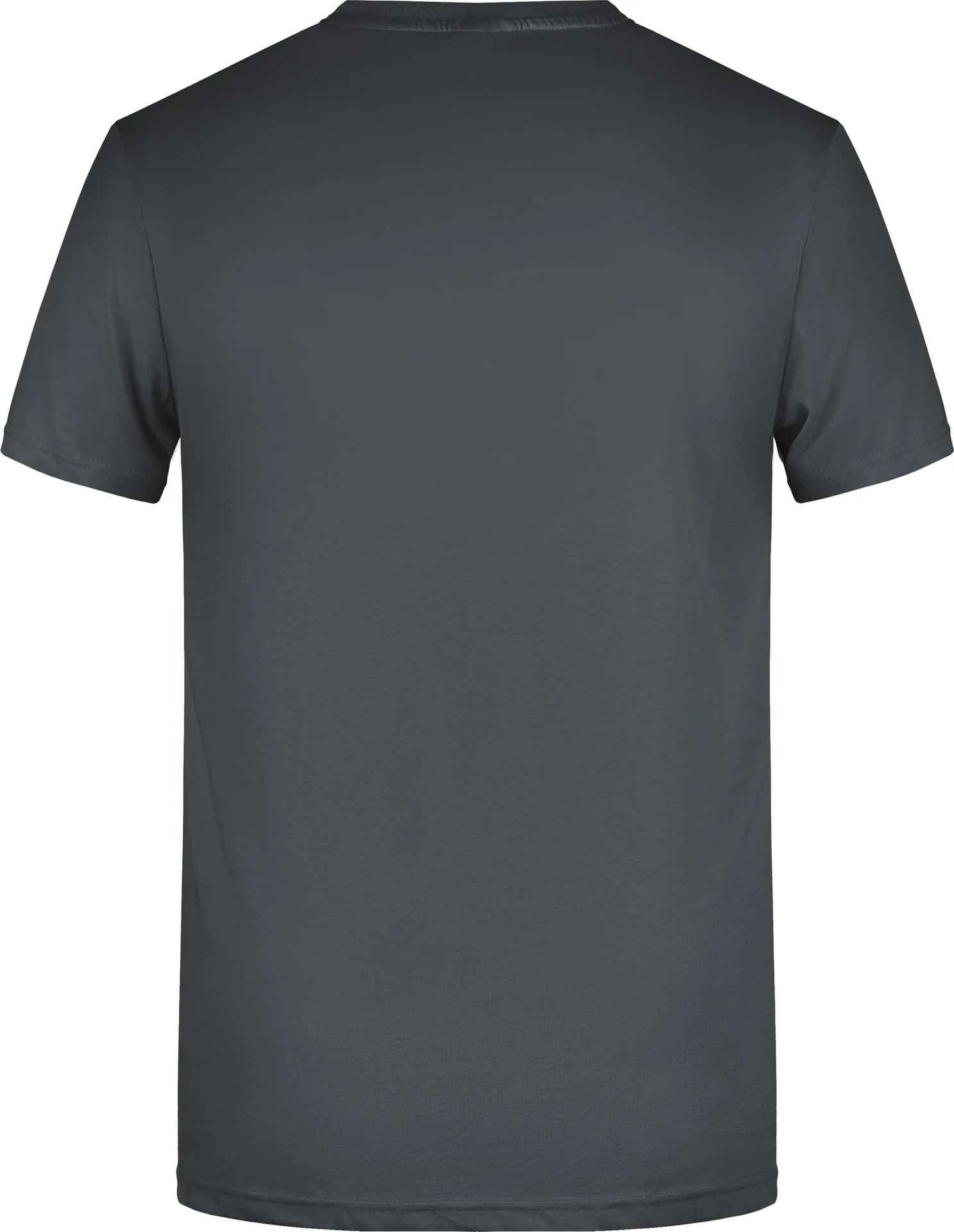 James & Nicholson Men`s Basic-T