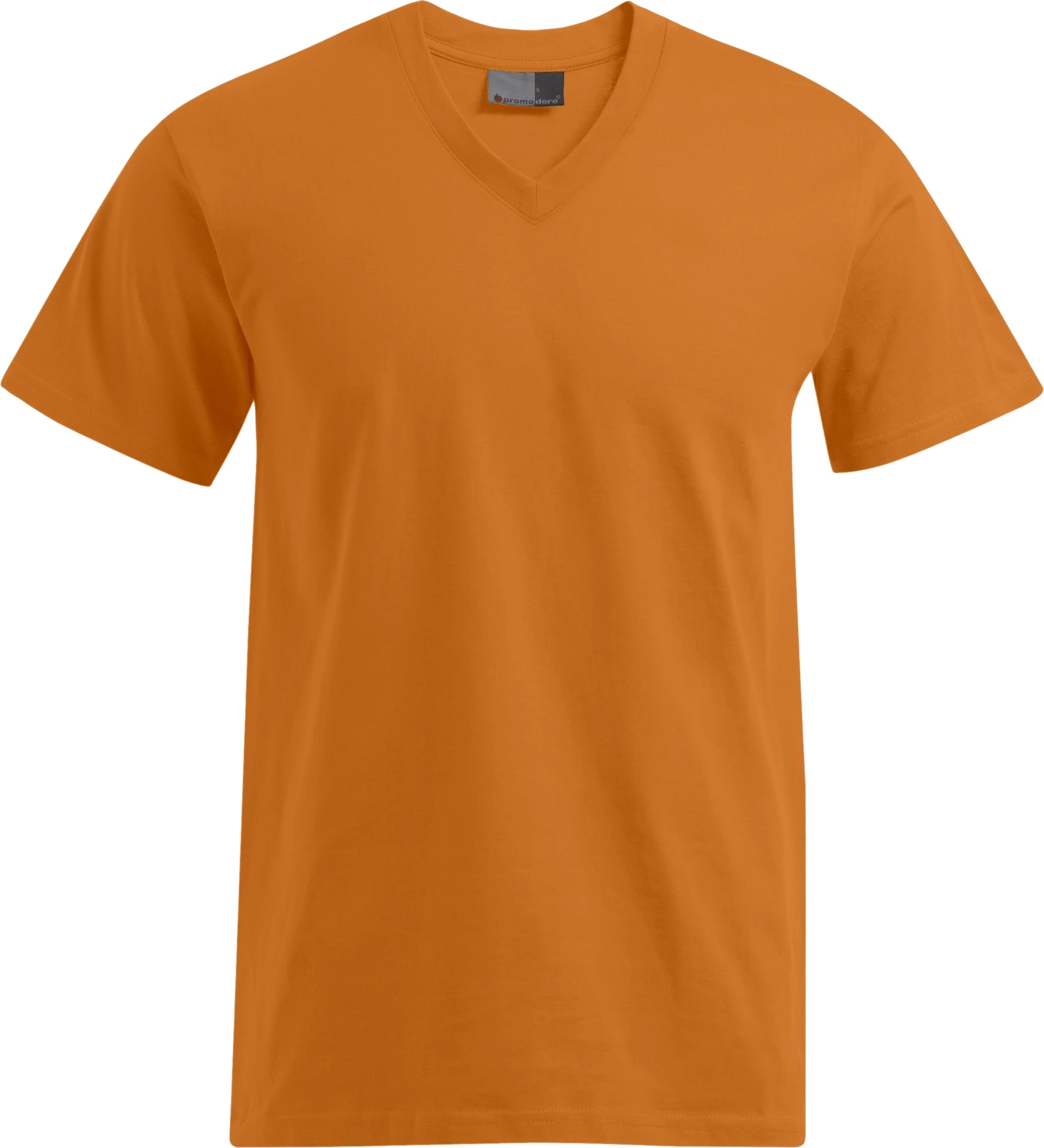 Promodoro Men's Premium V-Neck-T