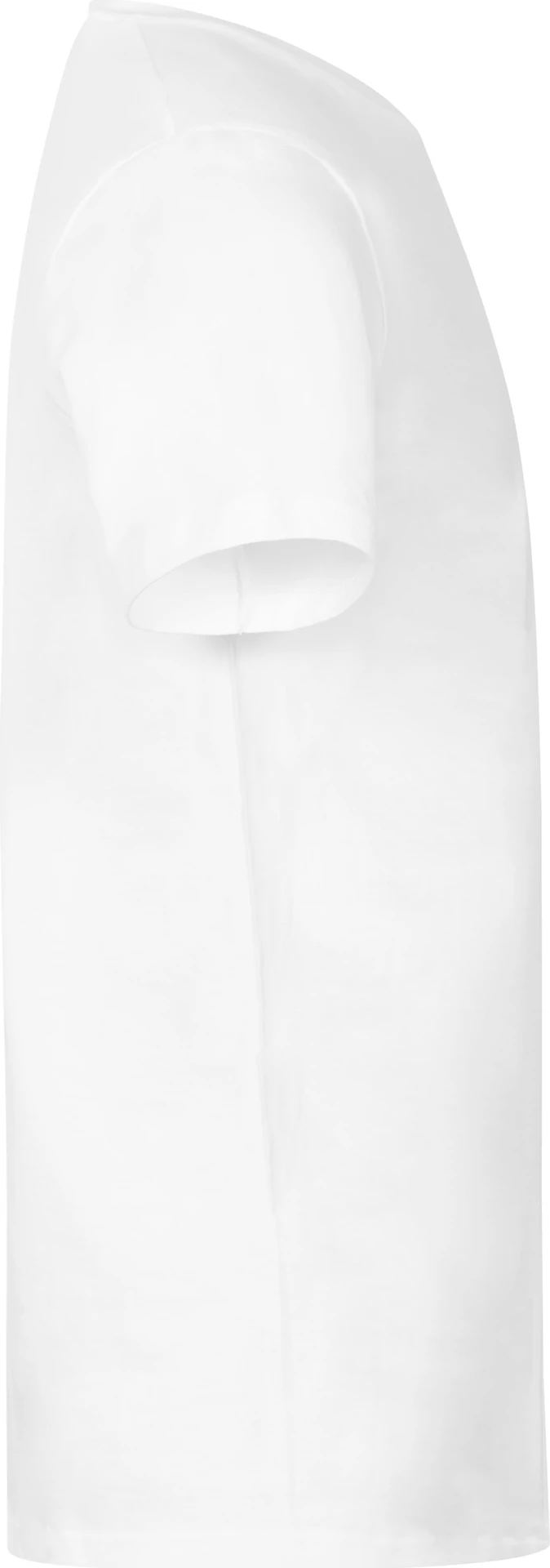 Promodoro Men's Premium V-Neck-T