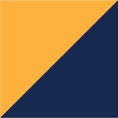 gold yellow/navy