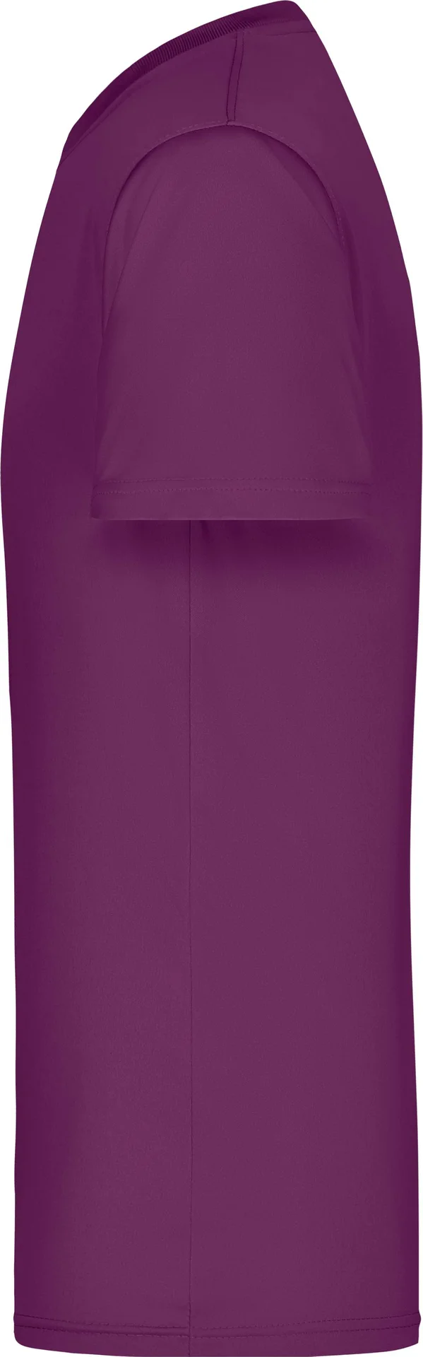James & Nicholson Men`s Active-T