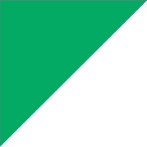 kelly green/white