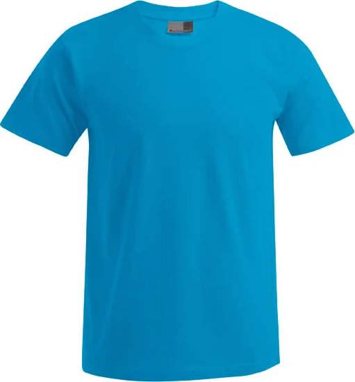 Promodoro Men's Premium-T