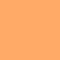 neon mandarine