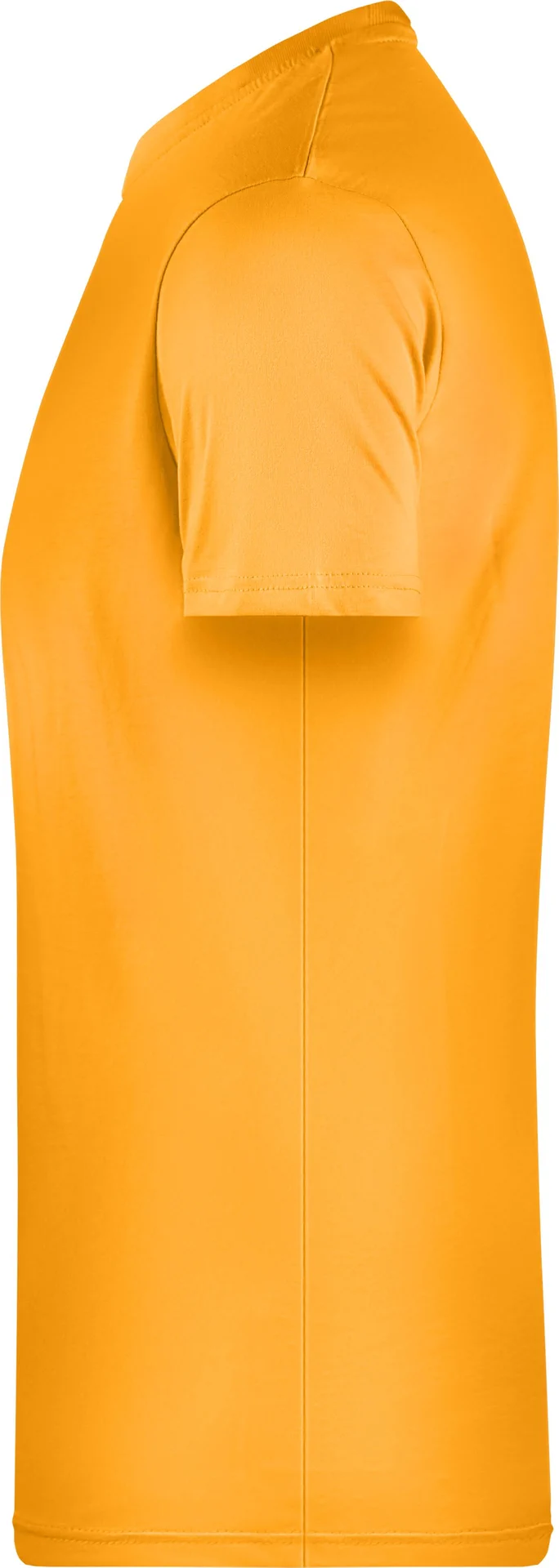 James & Nicholson Men`s Basic-T