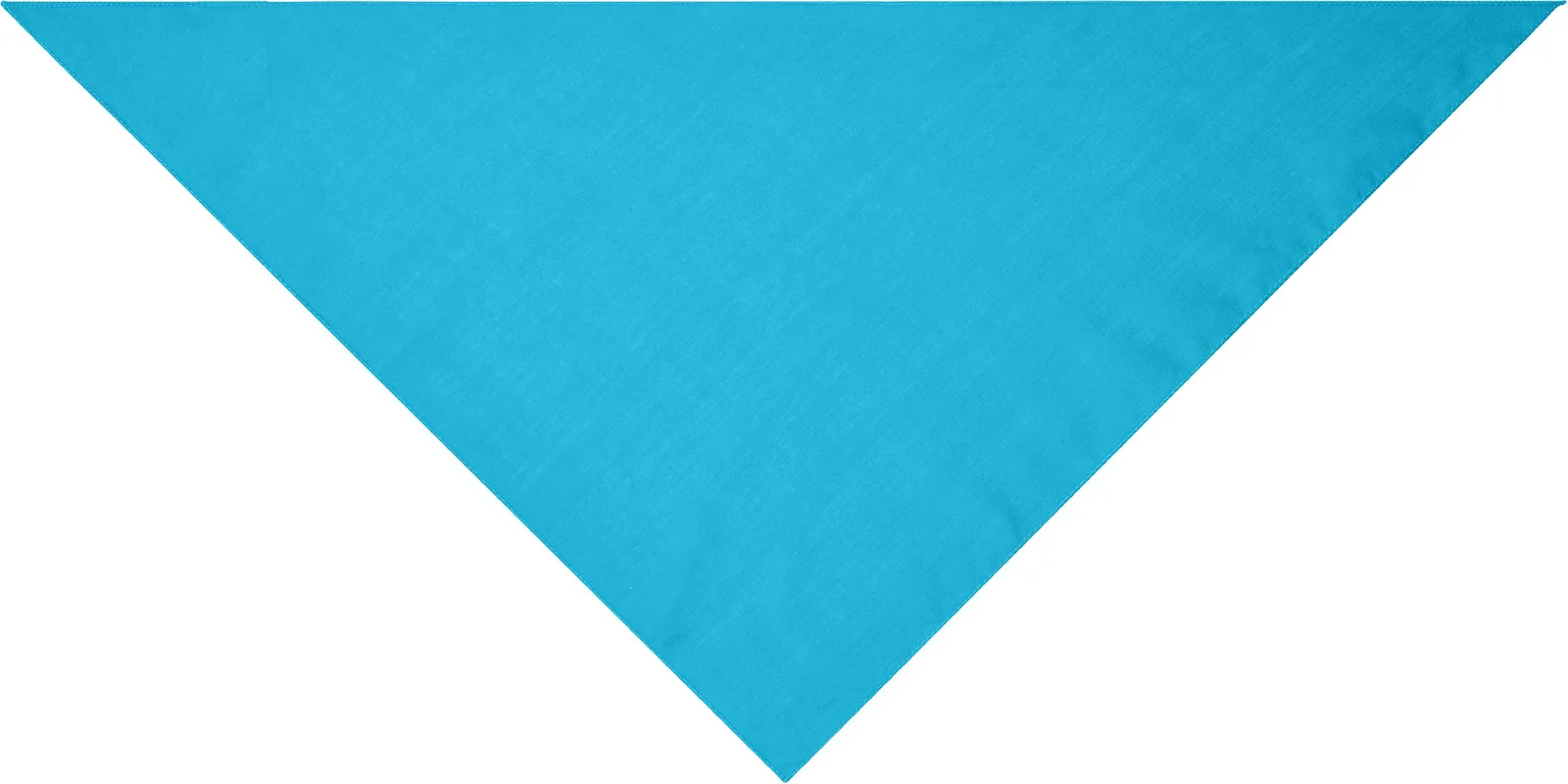 myrtle beach Triangular Scarf