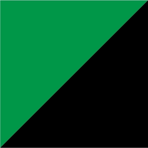 vivid green/black
