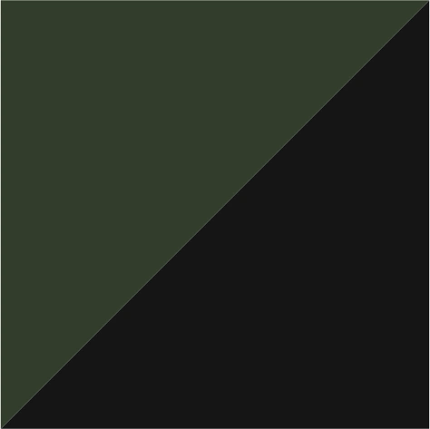 olive green/black