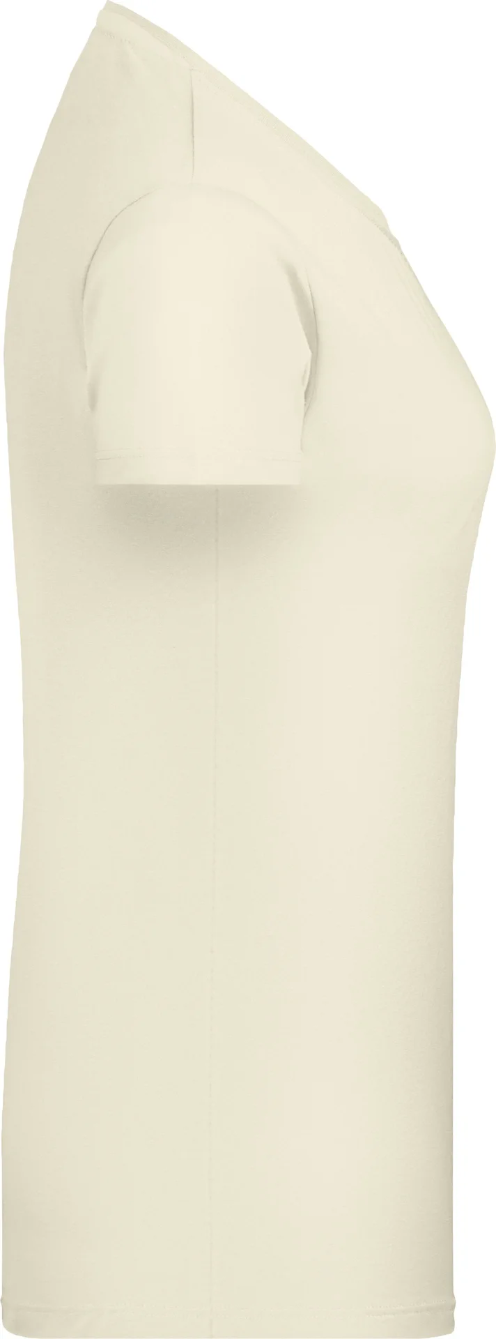 James & Nicholson Ladies Basic-T