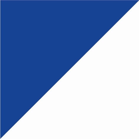 royal blue/arctic white