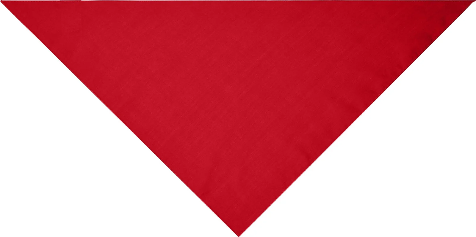 myrtle beach Triangular Scarf