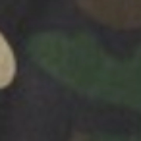 olive camo