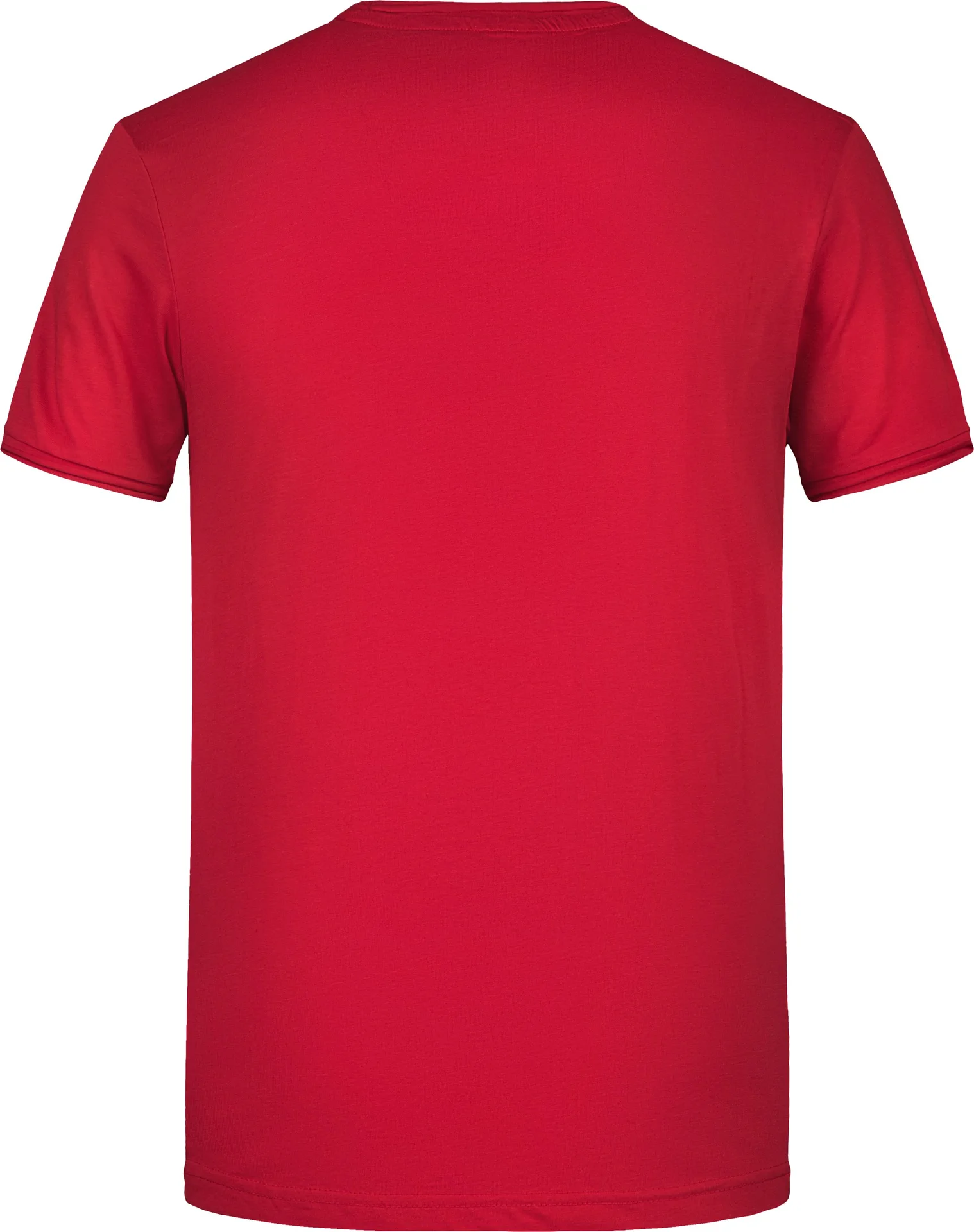 James & Nicholson Men's T