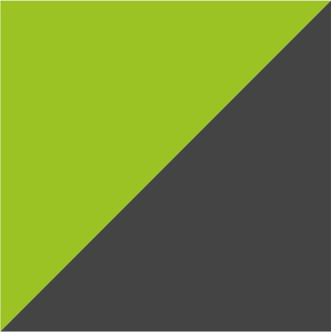 lime green/grey