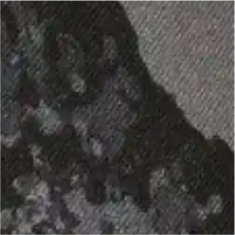 poseidon black